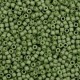 Miyuki delica Beads 11/0 - Opaque matte luster olive green DB-391